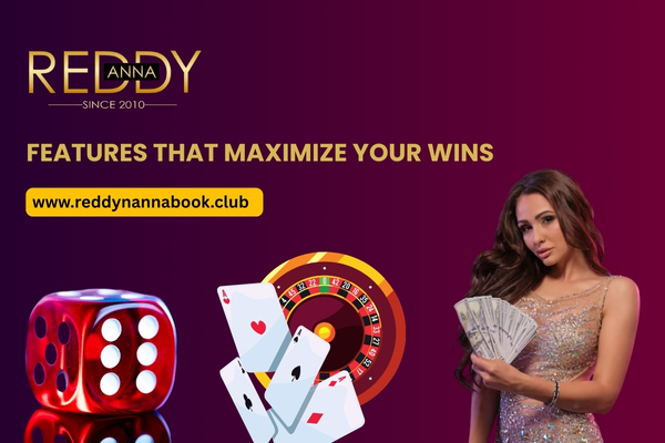 Features That Maximize Your Wins