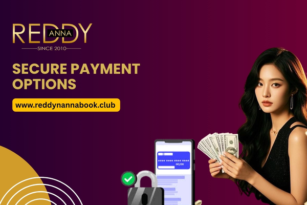 Secure Payment Options