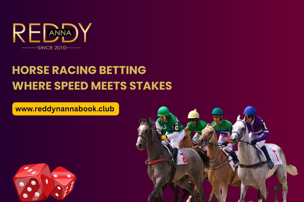Horse Racing Betting