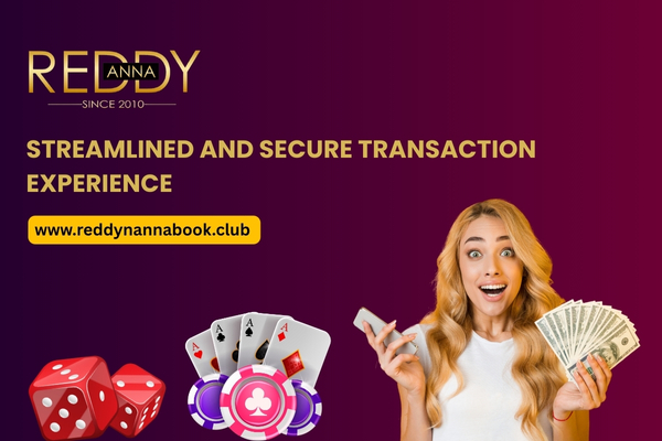 Streamlined and Secure Transaction Experience