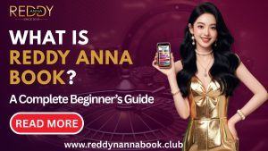 Read more about the article What is Reddy Anna Book? A Complete Beginner’s Guide